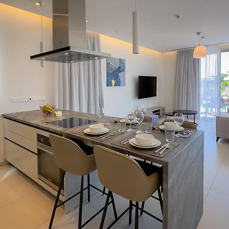 וילה Napa Seaview איה נאפה